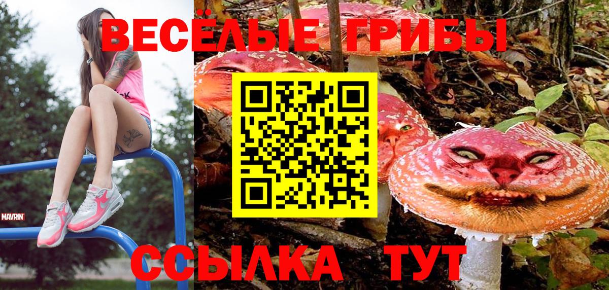 Элиста  Псилоцибиновые грибы GOLDEN TEACHER  Псилоцибиновые грибы Psilocybine cubensis  Вход с VPN 