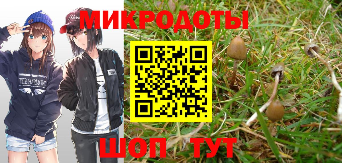 Галлюциногенные грибы Magic Shrooms Элиста