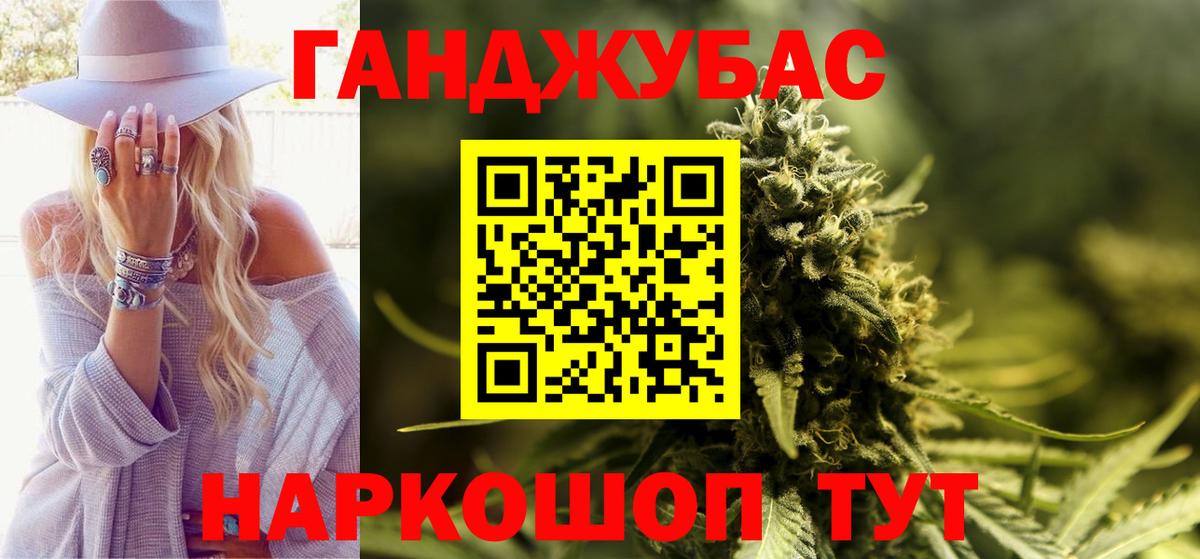 Конопля сатива Элиста